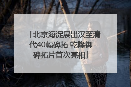 北京海淀展出汉至清代40幅碑拓 乾隆御碑拓片首次亮相