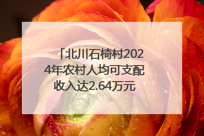 北川石椅村2024年农村人均可支配收入达2.64万元｜新闻发布最前线
