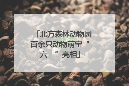 北方森林动物园百余只动物萌宝“六一”亮相