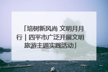 培树新风尚 文明月月行｜四平市广泛开展文明旅游主题实践活动