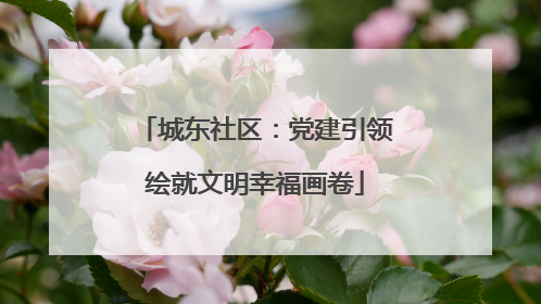 城东社区：党建引领绘就文明幸福画卷
