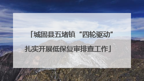 城固县五堵镇“四轮驱动”扎实开展低保复审排查工作