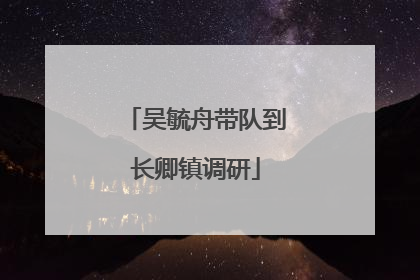 吴毓舟带队到长卿镇调研
