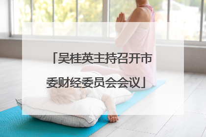 吴桂英主持召开市委财经委员会会议