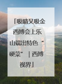 吸睛又吸金 西博会上乐山端出特色“硬菜”｜西博视界