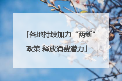 各地持续加力“两新”政策 释放消费潜力