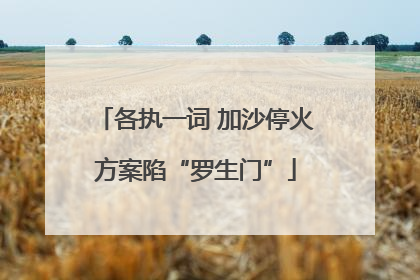各执一词 加沙停火方案陷“罗生门”