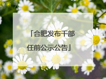 合肥发布干部任前公示公告
