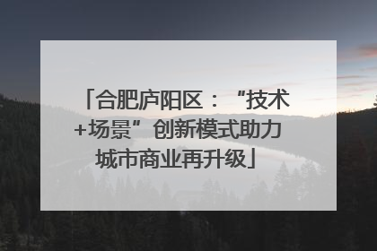 合肥庐阳区：“技术+场景”创新模式助力城市商业再升级