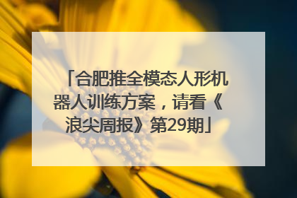 合肥推全模态人形机器人训练方案，请看《浪尖周报》第29期