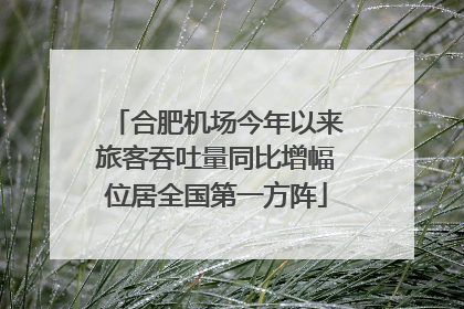 合肥机场今年以来旅客吞吐量同比增幅位居全国第一方阵