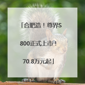 合肥造！尊界S800正式上市！70.8万元起
