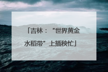 吉林：“世界黄金水稻带”上插秧忙