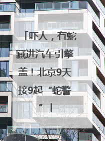 吓人，有蛇藏进汽车引擎盖！北京9天接9起“蛇警”