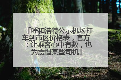 呼和浩特公示机场打车到市区价格表，官方：让乘客心中有数，也为震慑某些司机
