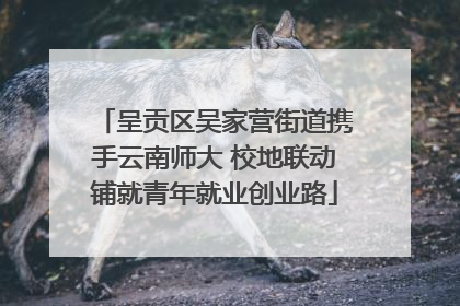 呈贡区吴家营街道携手云南师大 校地联动铺就青年就业创业路