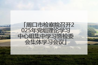 周口市检察院召开2025年党组理论学习中心组集中学习暨检委会集体学习会议