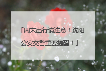 周末出行请注意！沈阳公安交警重要提醒！