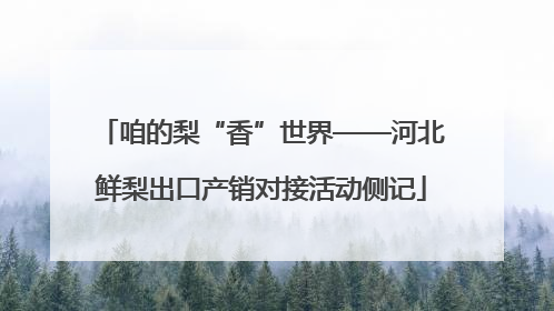 咱的梨“香”世界——河北鲜梨出口产销对接活动侧记