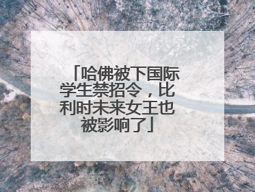 哈佛被下国际学生禁招令，比利时未来女王也被影响了