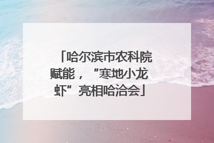 哈尔滨市农科院赋能，“寒地小龙虾”亮相哈洽会