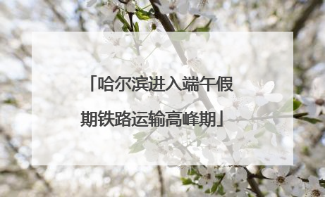 哈尔滨进入端午假期铁路运输高峰期