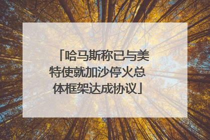 哈马斯称已与美特使就加沙停火总体框架达成协议