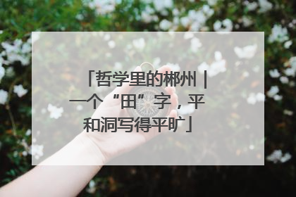 哲学里的郴州｜一个“田”字，平和洞写得平旷