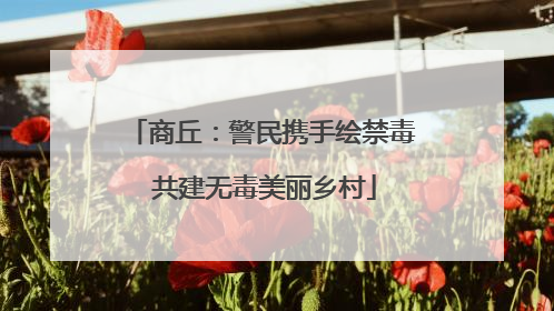 商丘：警民携手绘禁毒 共建无毒美丽乡村
