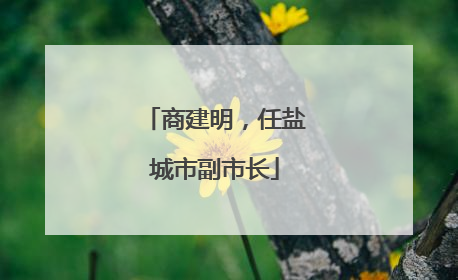 商建明，任盐城市副市长
