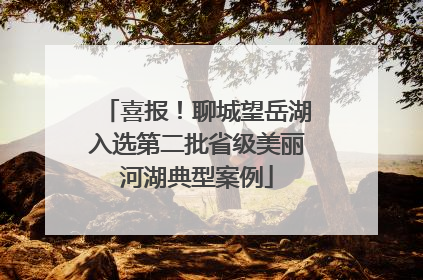 喜报！聊城望岳湖入选第二批省级美丽河湖典型案例