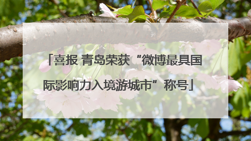喜报 青岛荣获“微博最具国际影响力入境游城市”称号