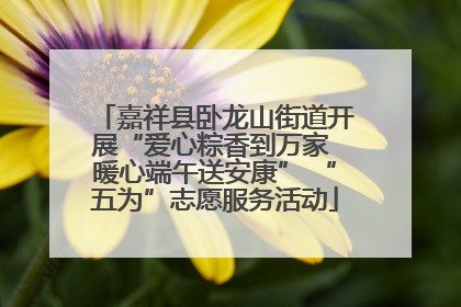 嘉祥县卧龙山街道开展“爱心粽香到万家 暖心端午送安康” “五为”志愿服务活动