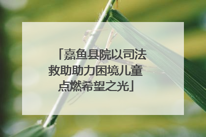 嘉鱼县院以司法救助助力困境儿童点燃希望之光