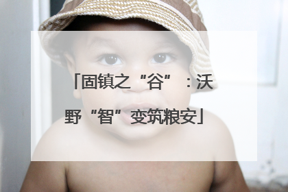 固镇之“谷”：沃野“智”变筑粮安