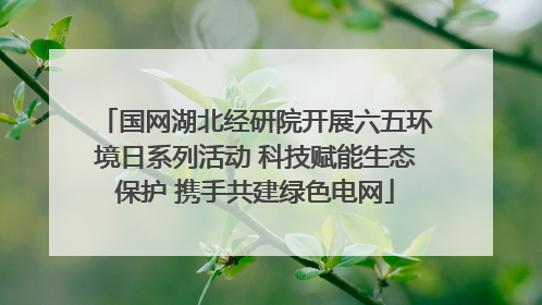 国网湖北经研院开展六五环境日系列活动 科技赋能生态保护 携手共建绿色电网