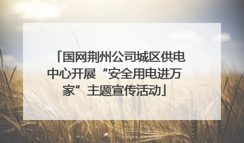 国网荆州公司城区供电中心开展“安全用电进万家”主题宣传活动