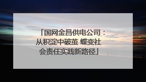 国网金昌供电公司：从积淀中破茧 蝶变社会责任实践新路径