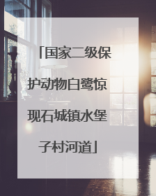 国家二级保护动物白鹭惊现石城镇水堡子村河道