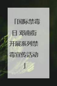 国际禁毒日 邓南街开展系列禁毒宣传活动