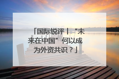 国际锐评丨“未来在中国”何以成为外资共识？