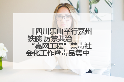 四川乐山举行嘉州铁腕 厉禁共治——“嘉网工程”禁毒社会化工作暨毒品集中销毁启动仪式