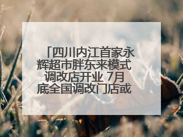四川内江首家永辉超市胖东来模式调改店开业 7月底全国调改门店或将突破150家丨新经济观察