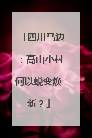 四川马边：高山小村何以蜕变焕新？