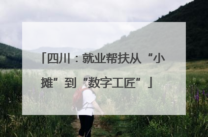 四川：就业帮扶从“小摊”到“数字工匠”