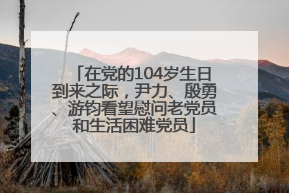 在党的104岁生日到来之际，尹力、殷勇、游钧看望慰问老党员和生活困难党员