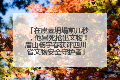 在崖墓坍塌前几秒，他冒死抢出文物！眉山杨宇春获评四川省文物安全守护者