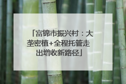 富锦市振兴村：大垄密植+全程托管走出增收新路径