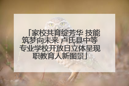 家校共育绽芳华 技能筑梦向未来 卢氏县中等专业学校开放日立体呈现职教育人新图景