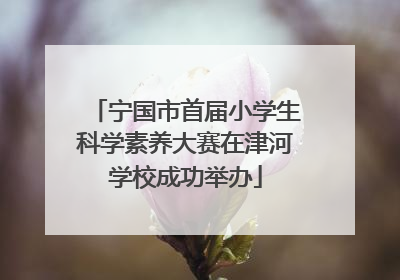 宁国市首届小学生科学素养大赛在津河学校成功举办